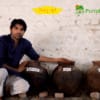 Trikatu Churna Ayurvedic powder made with black pepper pippali and dry ginger for digestion support