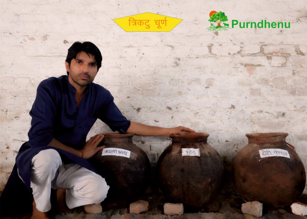 Trikatu Churna Ayurvedic powder made with black pepper pippali and dry ginger for digestion support