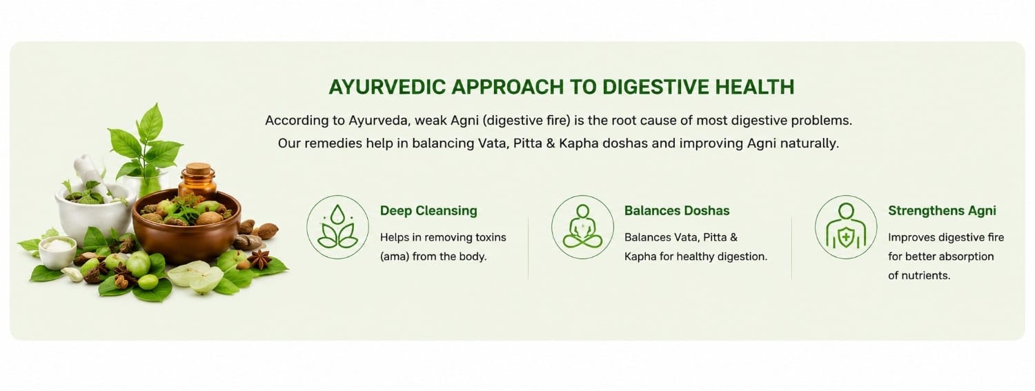 digestive 1 digestive 1